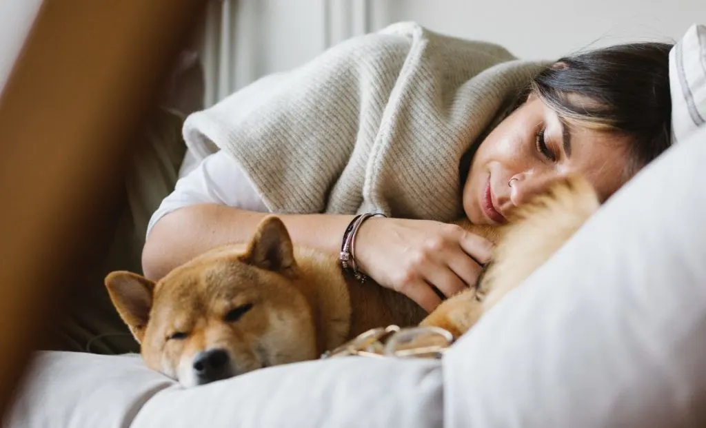 Young woman sleeping with the dog together on soft couch