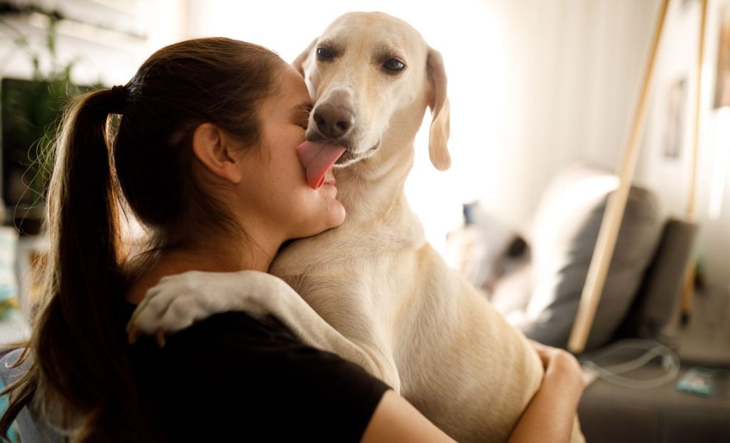 happy dog hugging and licking woman