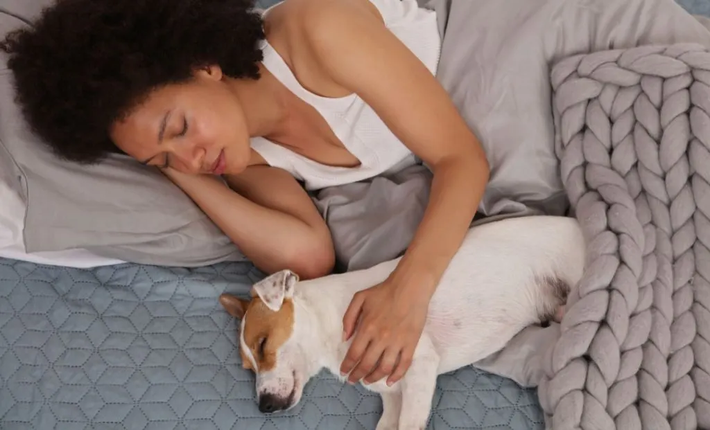 dog sleeping on the bed with his owner