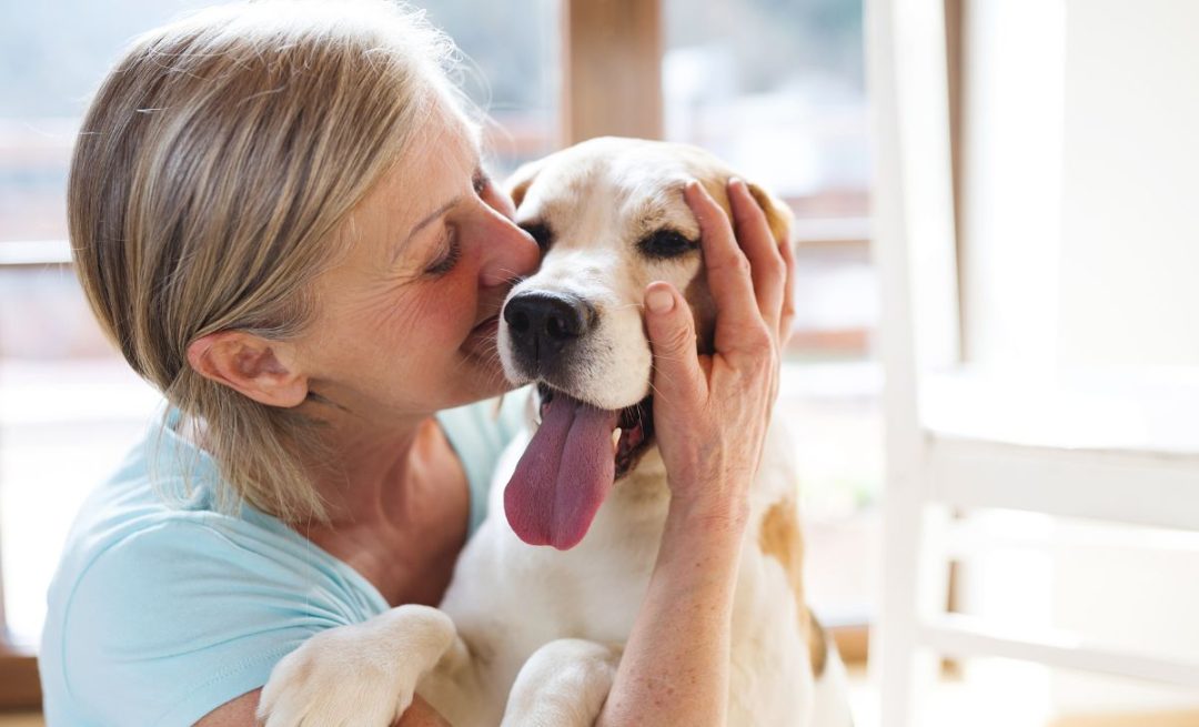 Why Do Dogs Lick Your Feet? 11 Surprising Reasons