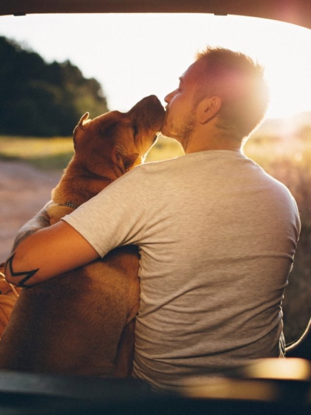 8 Adorable Signs Your Dog Is Happy And Loves You