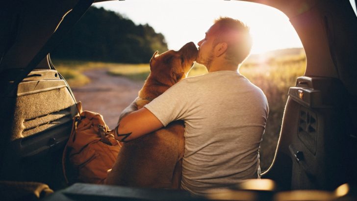 17 Adorable Signs Your Dog Is Happy And Loves You