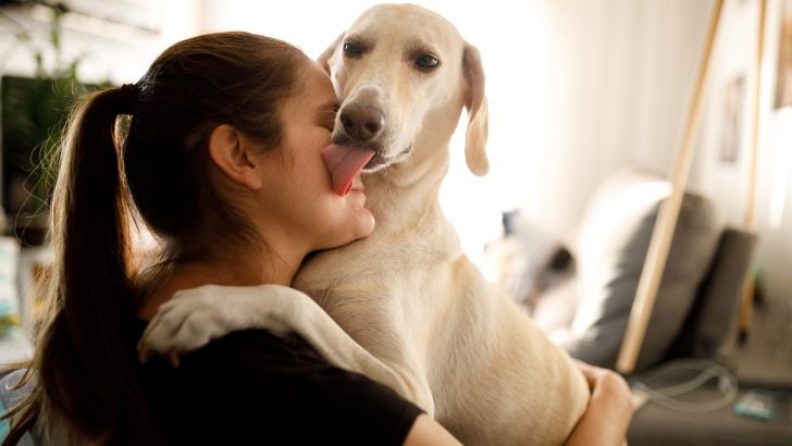 Why Do Dogs Lick Your Wounds, And Should You Allow Them To