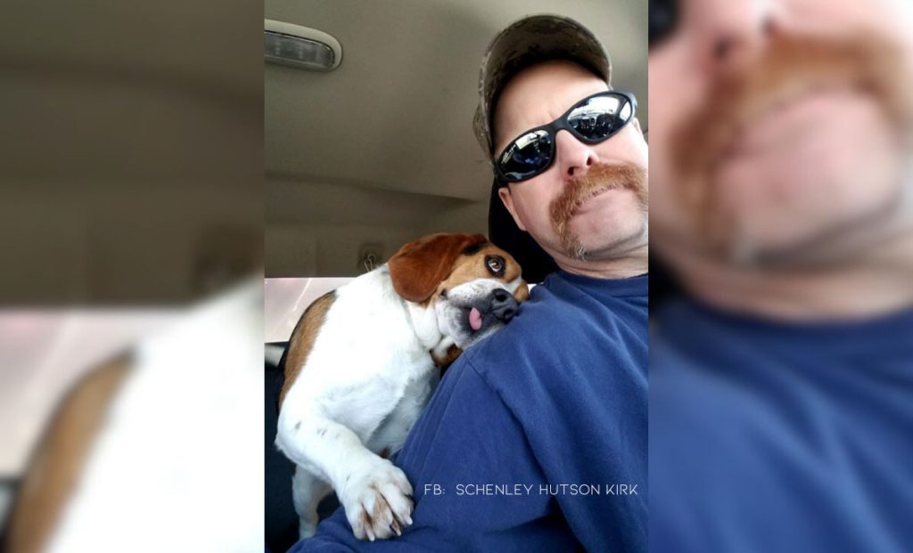 Beagle Rescued From Euthanization Hugs His Savior During Car Ride Home
