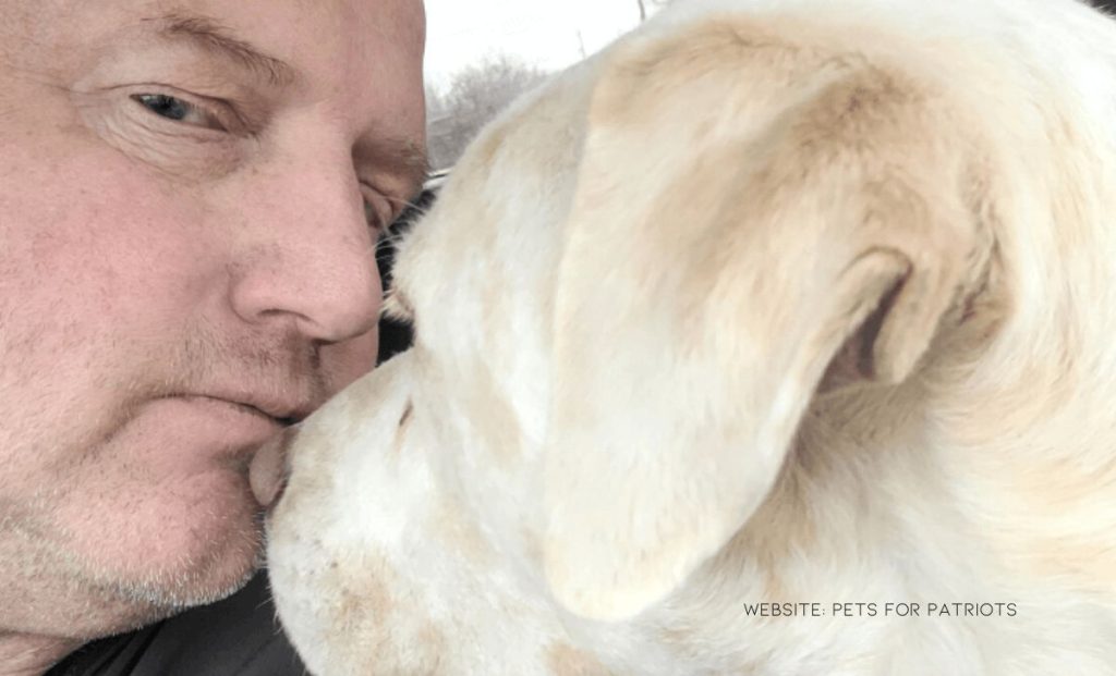Blind And Deaf Dog Waited 200 Days In Shelter Until A Combat Veteran Saved Him