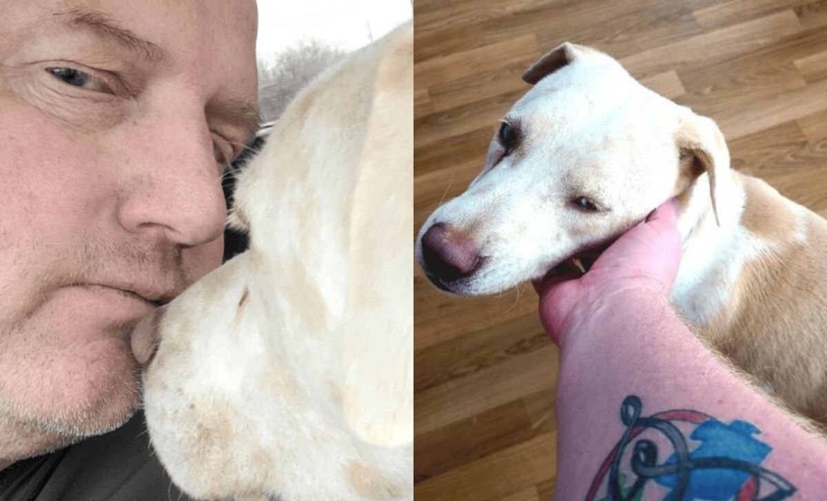 Blind And Deaf Dog Waited 200 Days In Shelter Until A Combat Veteran Saved Him