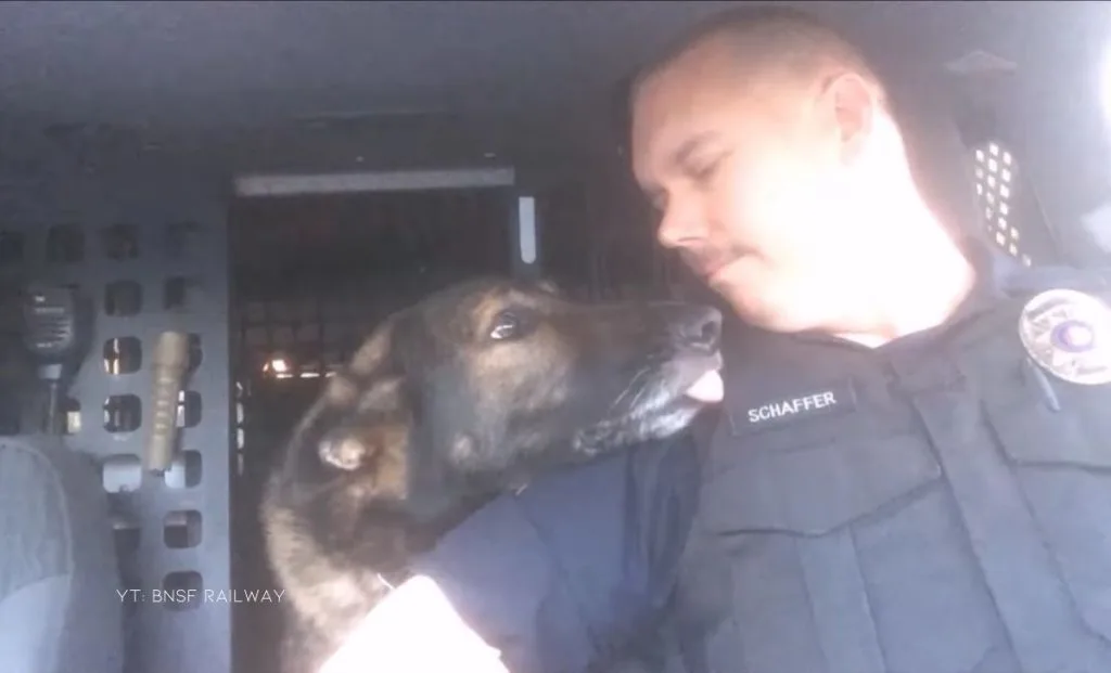 K-9 Faust's Emotional Retirement And Sincere Send Off From The BNSF Railway Police