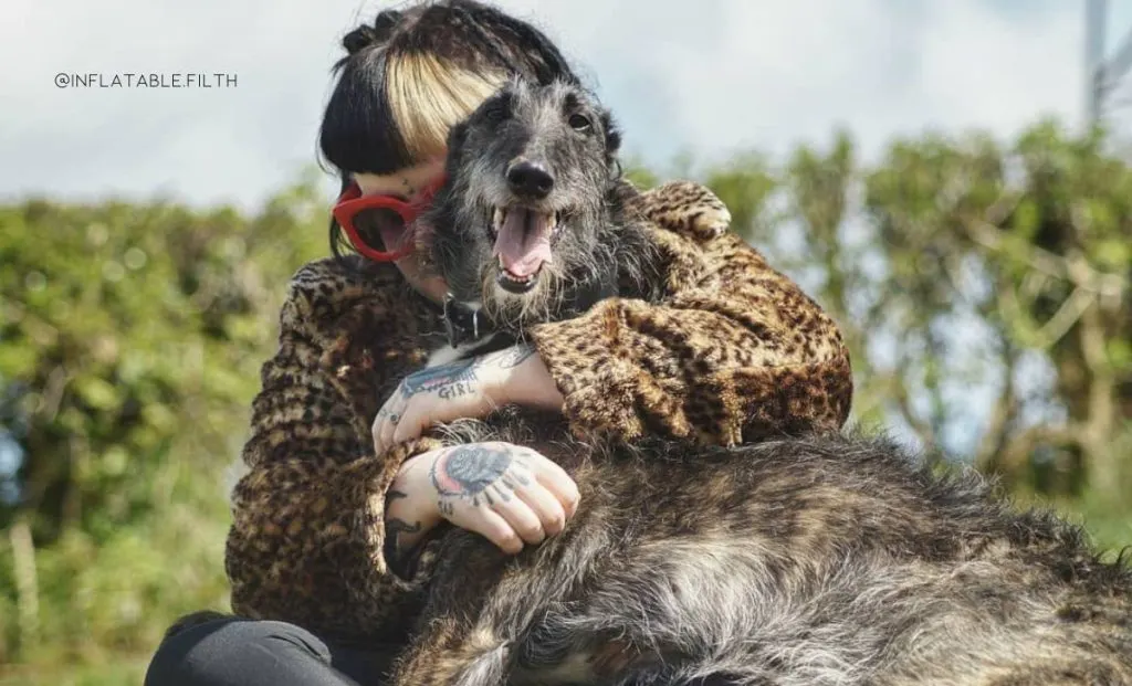 borzoi deerhound